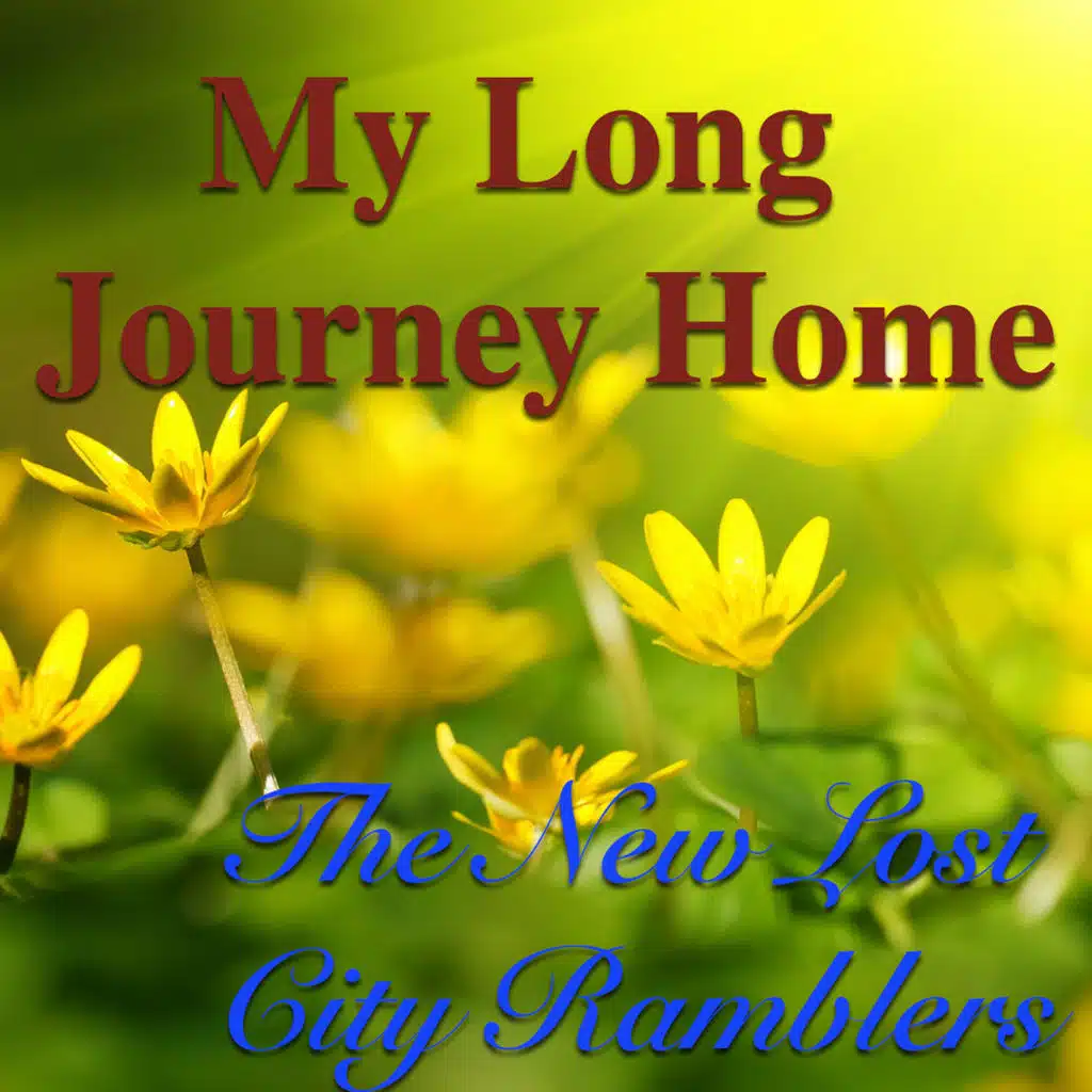 The Lady Of Carlisle