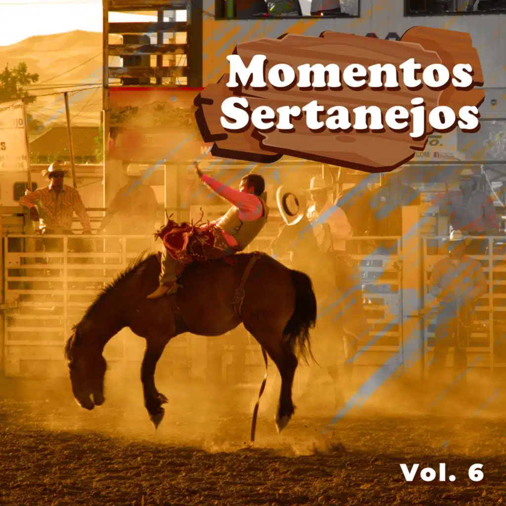 Momentos Sertanejos, Vol.6