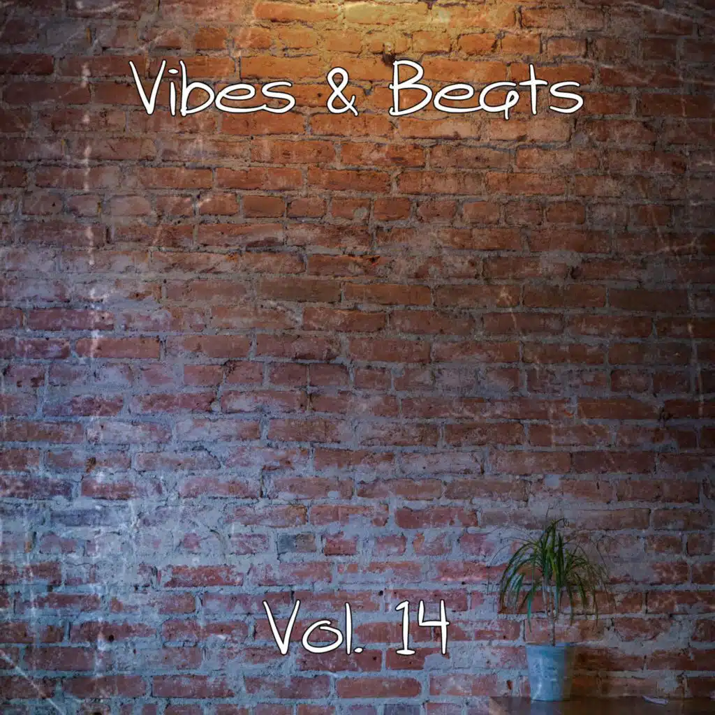 Vibes & Beats, Vol. 14