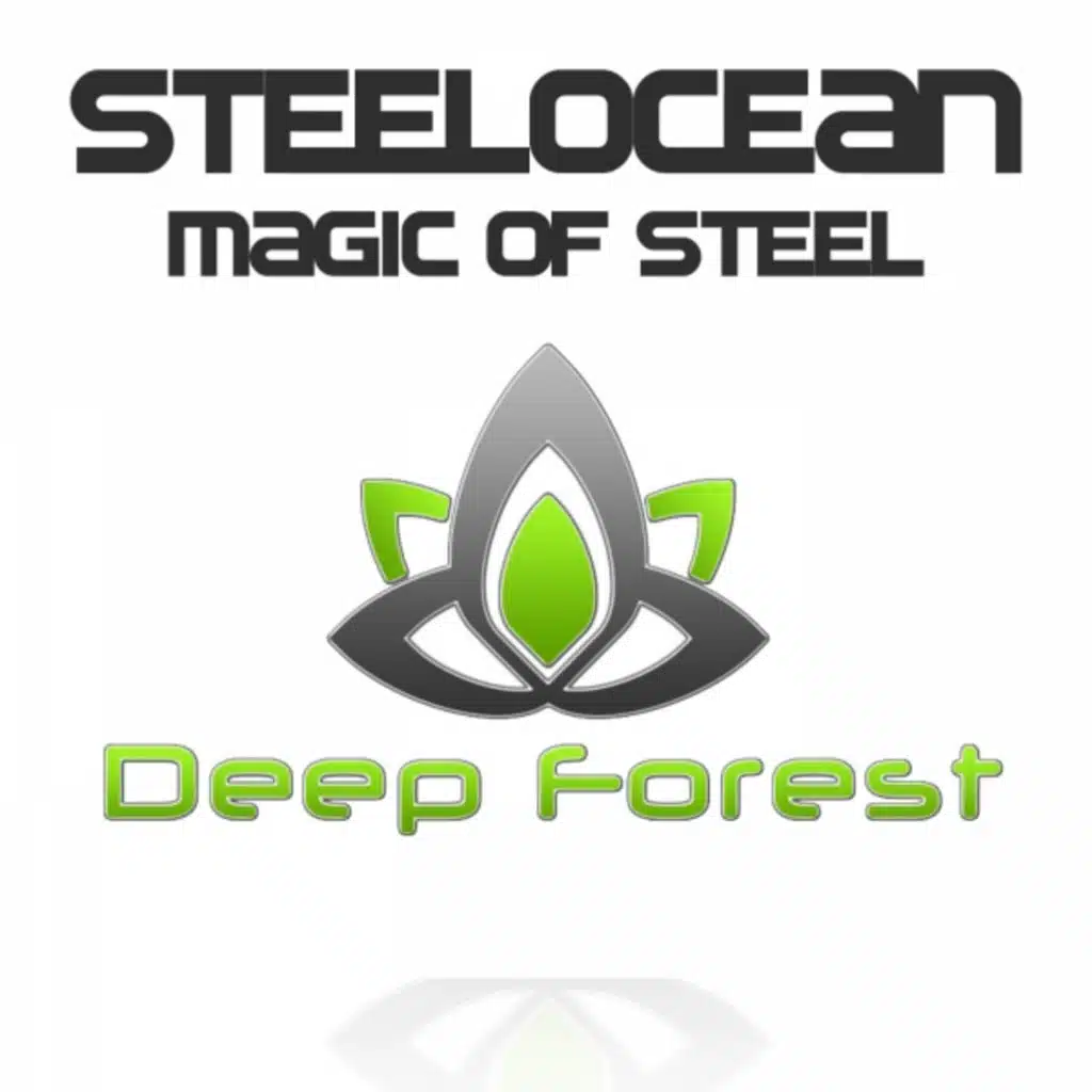Steelocean