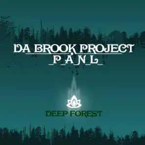 Da Brook Project