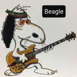 Beagle