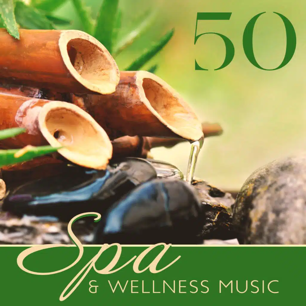 Create Your Character