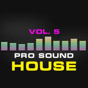 Pro Sound: House, Vol. 5