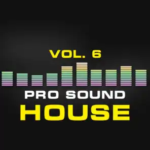 Pro Sound: House, Vol. 6