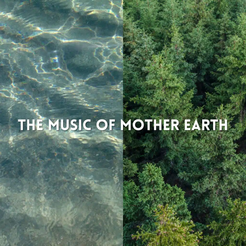The Music of Mother Earth - Forest and Sea Sounds