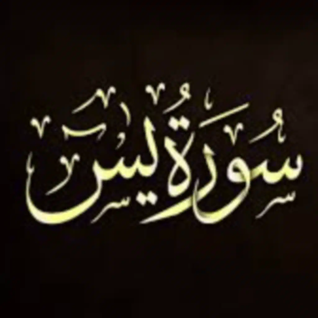 سورة ( يس )
