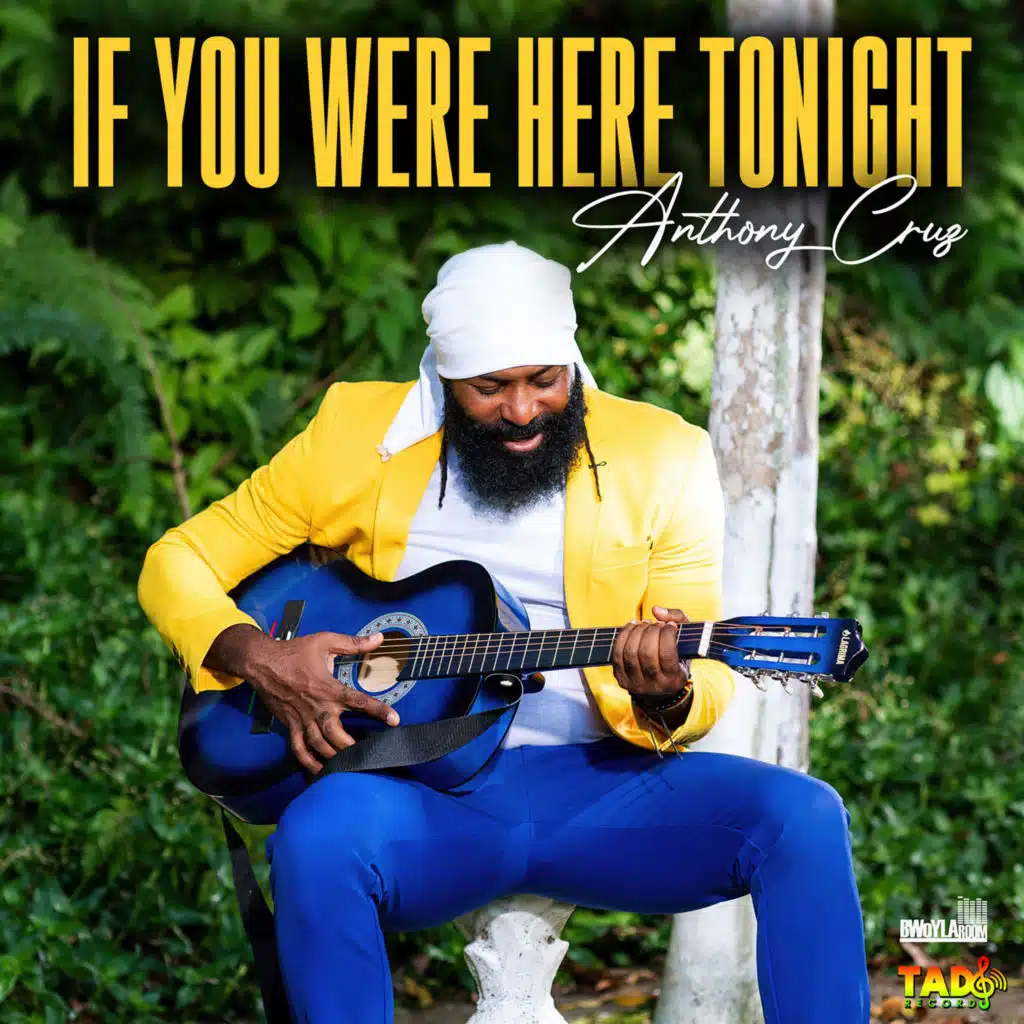 If You Were Here Tonight