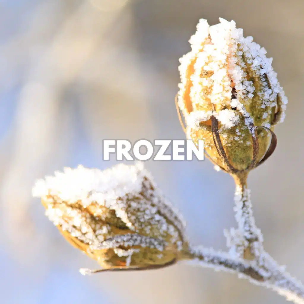 Handpan Player, Michael Kerl & Peaceful Relaxing