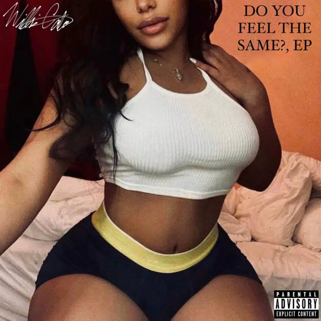 Do You Feel the Same? - EP