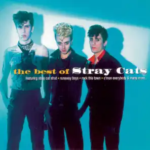 The Best Of Stray Cats
