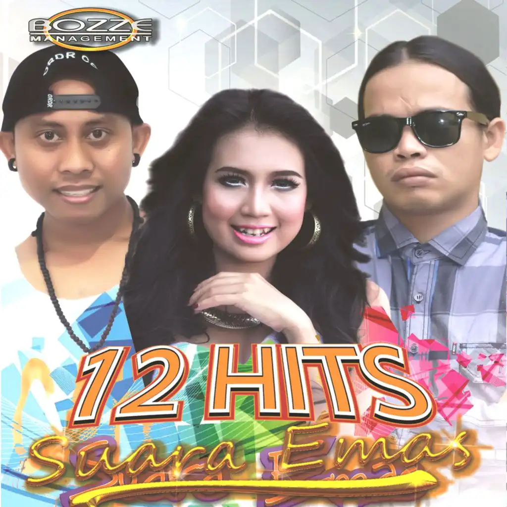 12 Hits Suara Emas