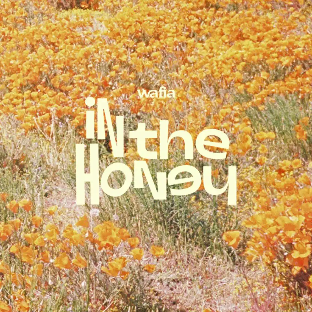 In the Honey