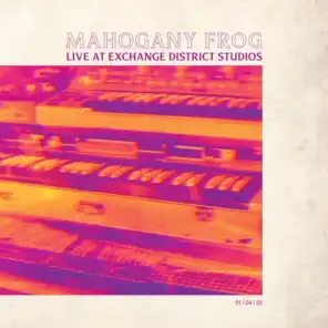 Mahogany Frog