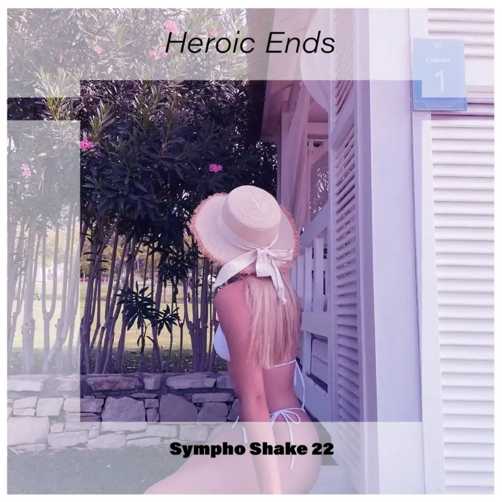 Heroic Ends Sympho Shake 22
