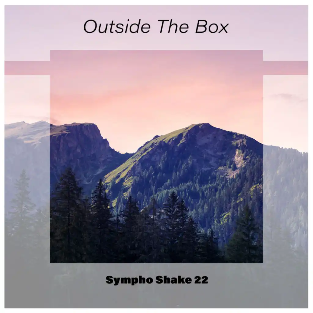 Outside The Box Sympho Shake 22