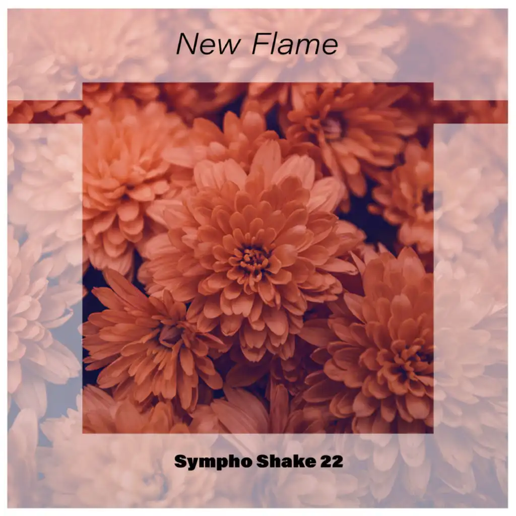 New Flame Sympho Shake 22
