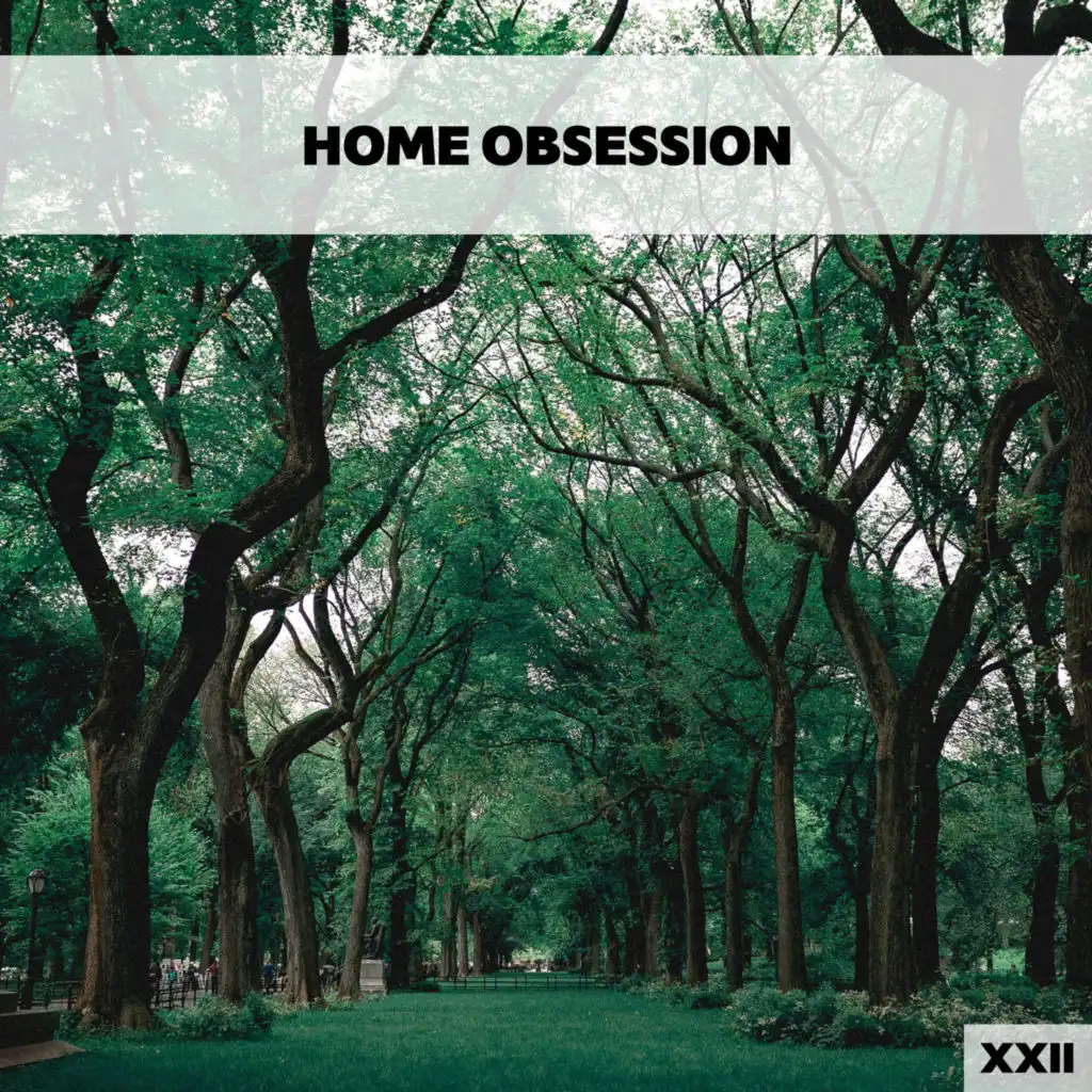 Home Obsession XXII