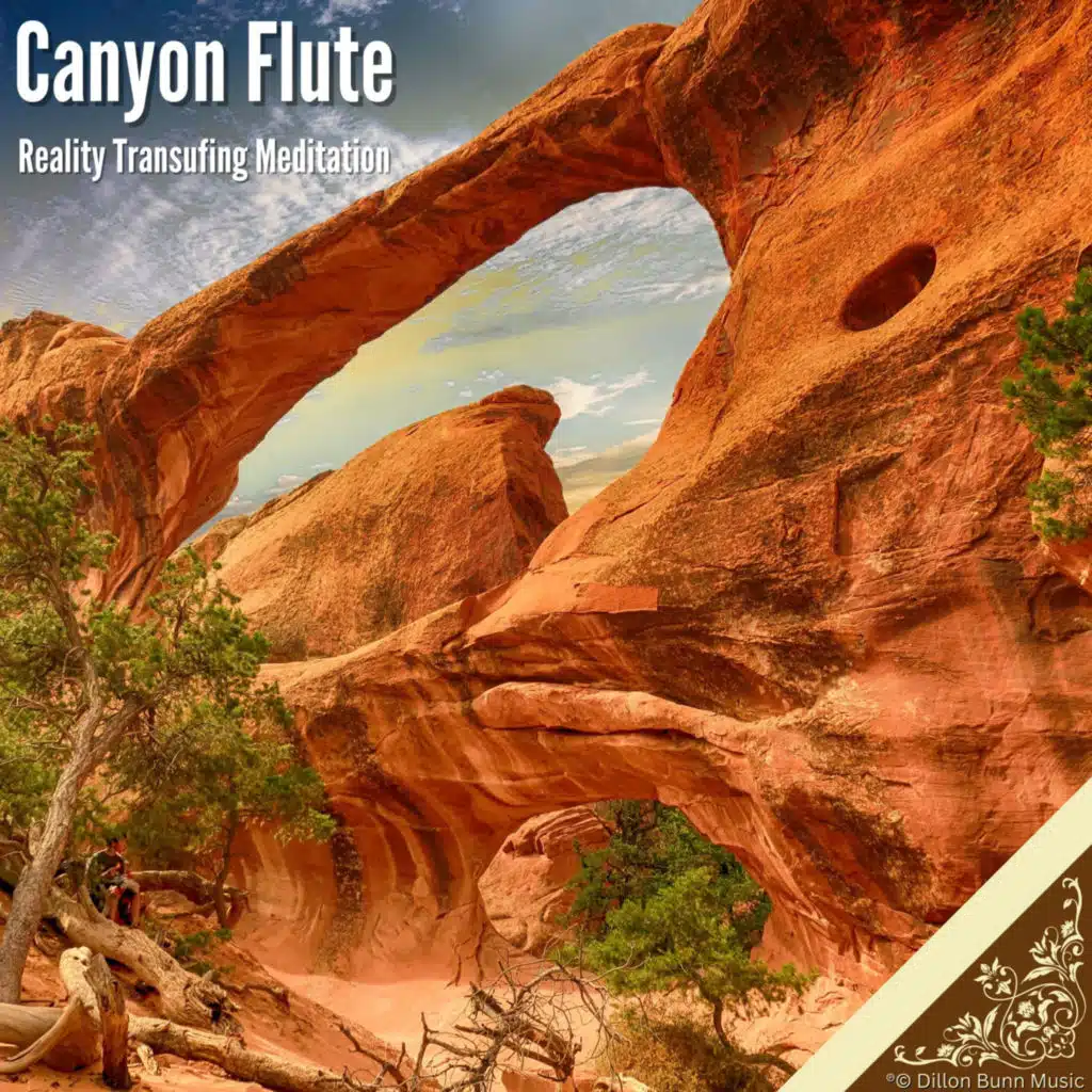 Reality Transurfing Meditation