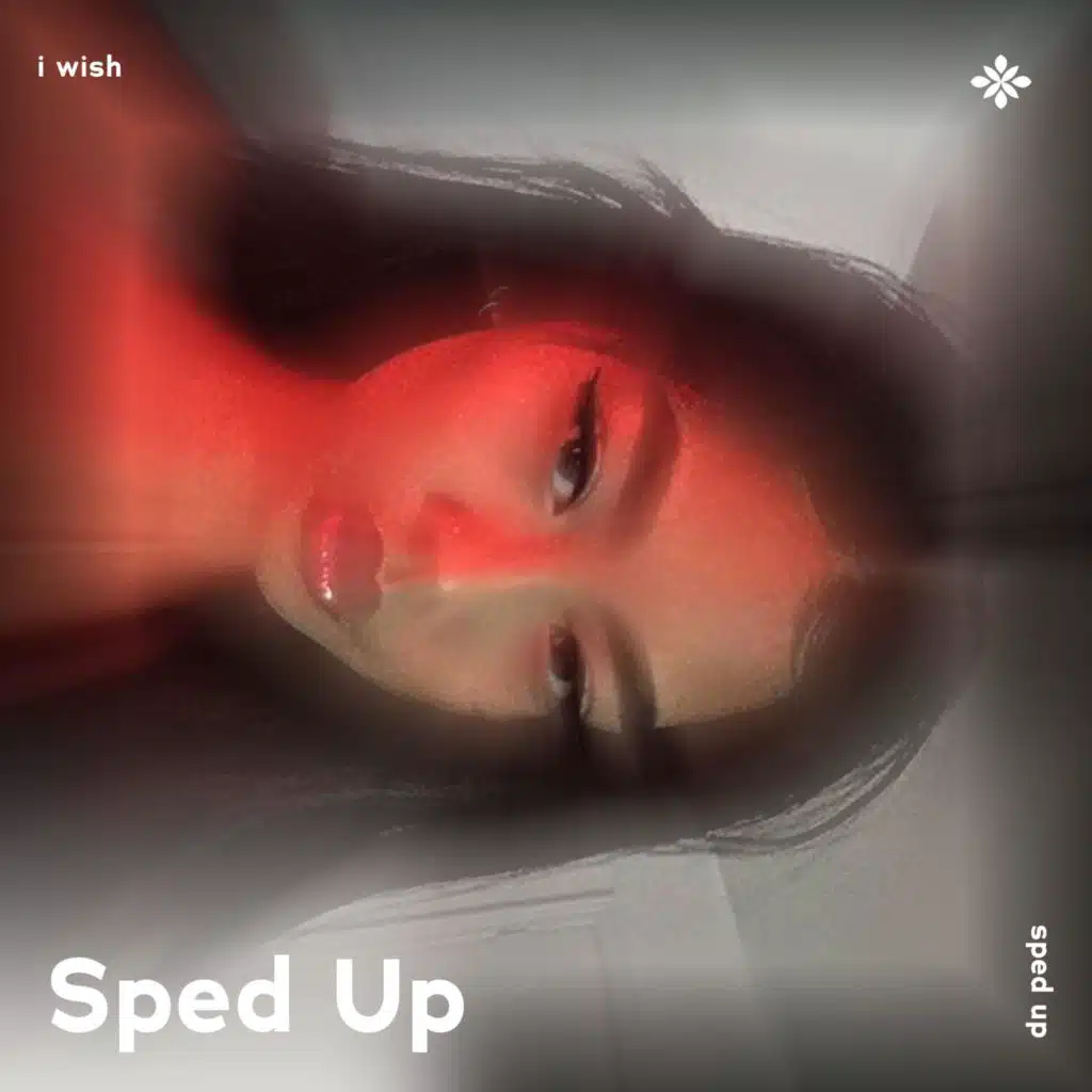 i wish (i wish i was a little bit taller i wish i was a baller) - sped up + reverb