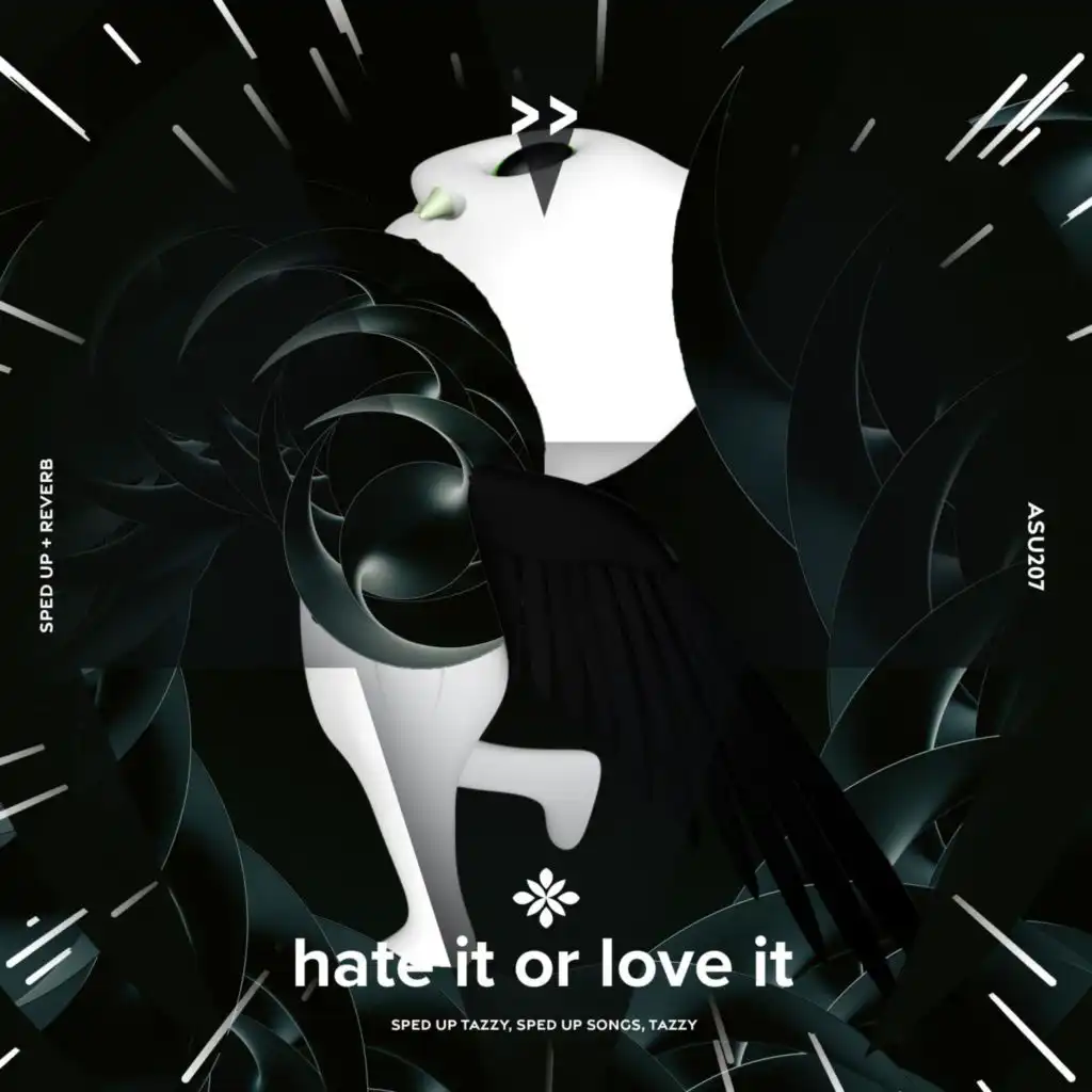 hate it or love it - sped up + reverb