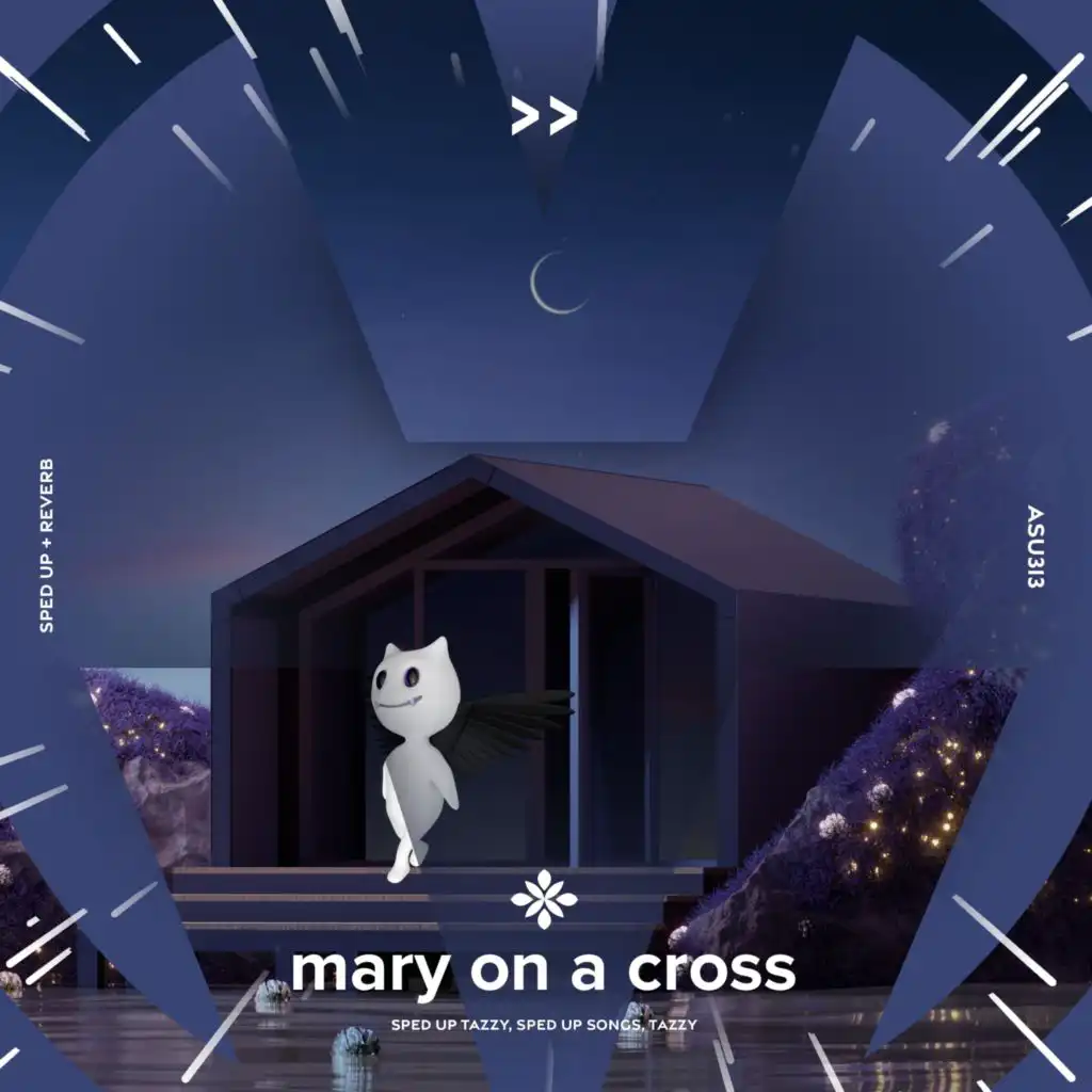mary on a cross - sped up + reverb