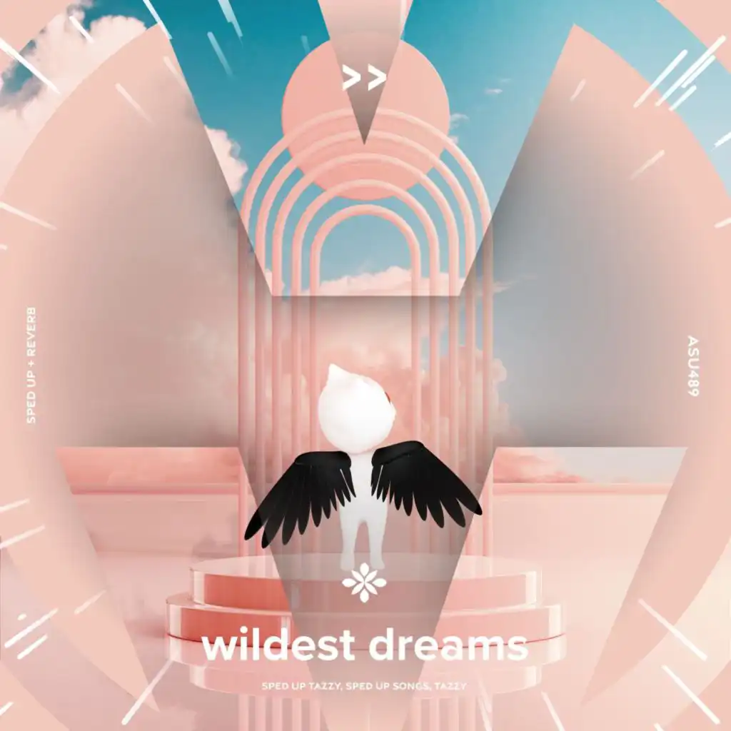 wildest dreams - sped up + reverb