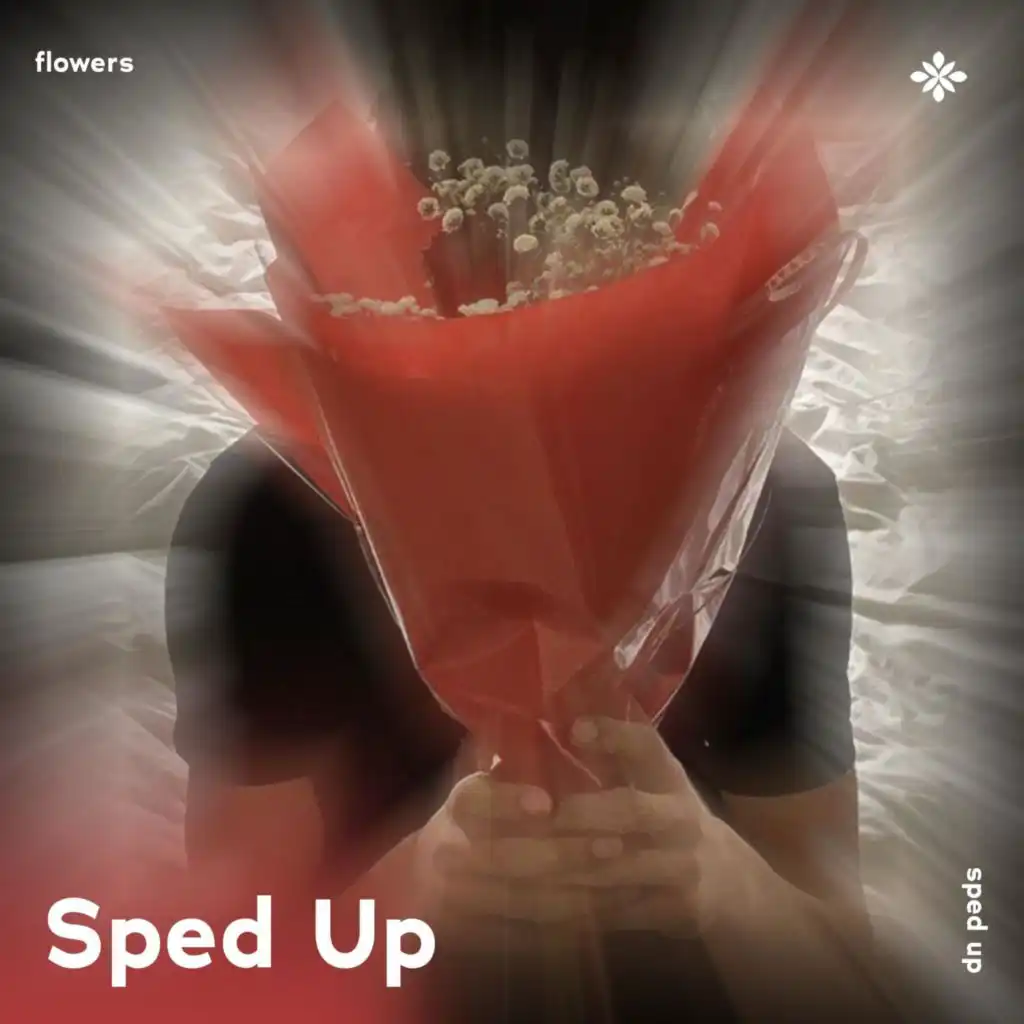 flowers - sped up + reverb