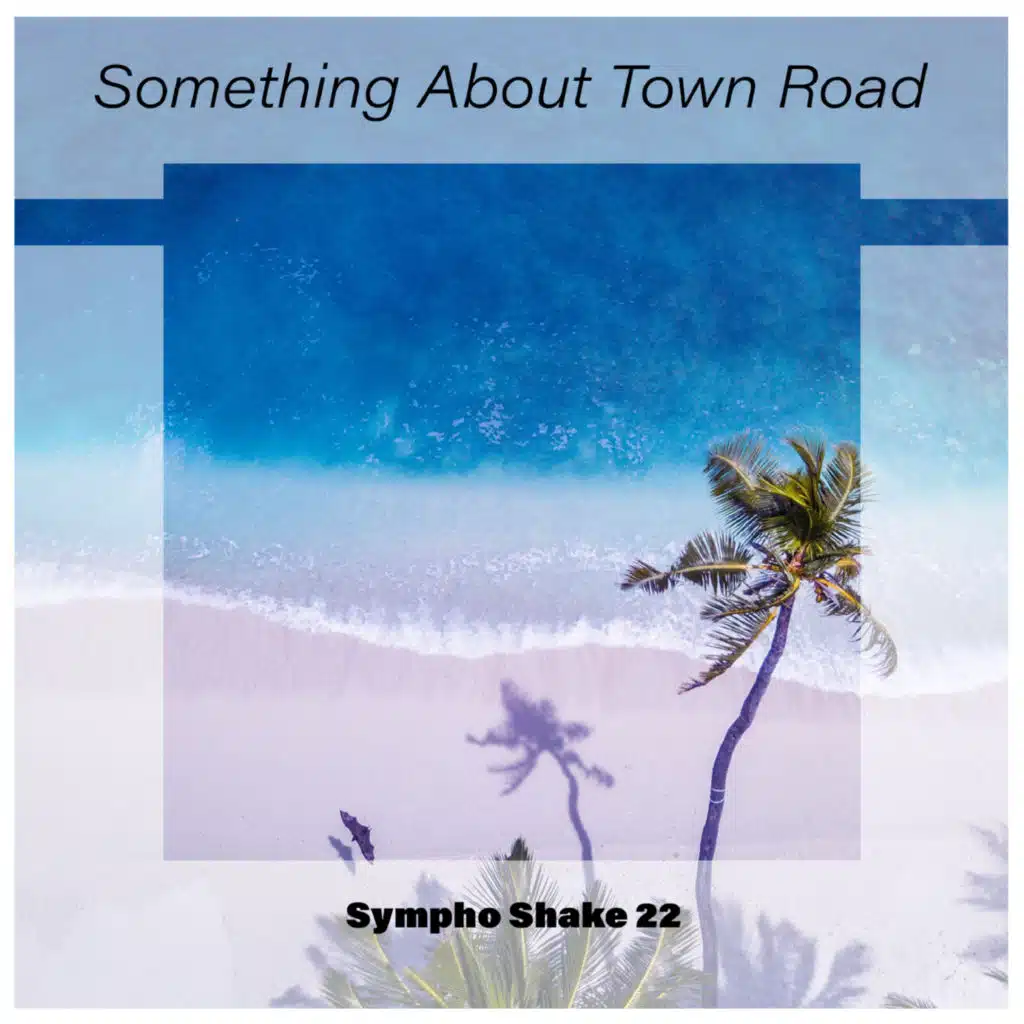 Something About Town Road Sympho Shake 22