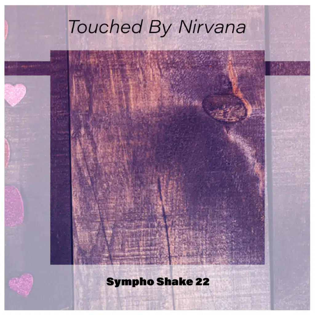 Touched By Nirvana Sympho Shake 22