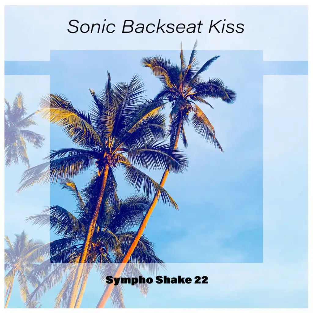 Sonic Backseat Kiss Sympho Shake 22