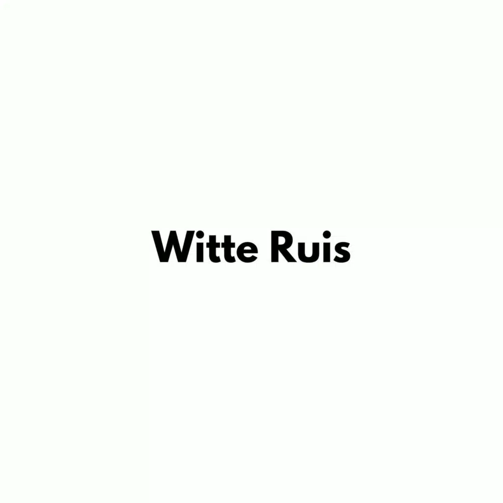 Witte Ruis - Tinnitus en Oorsuizen Therapie