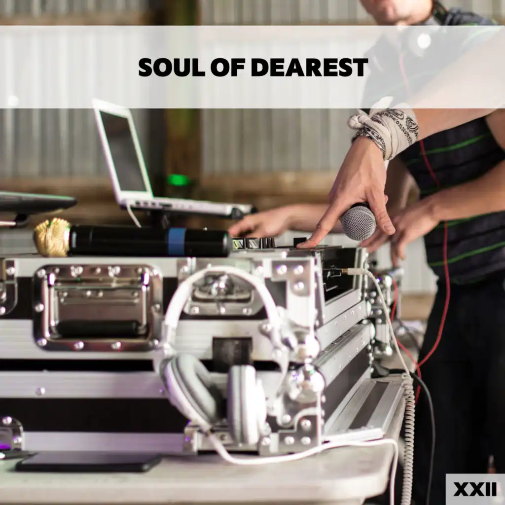 Soul Of Dearest XXII