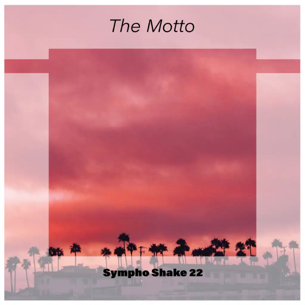 The Motto Sympho Shake 22