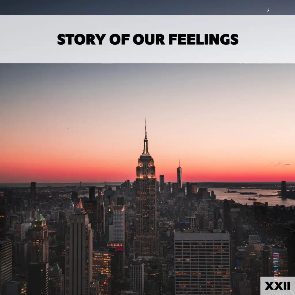 Story Of Our Feelings XXII