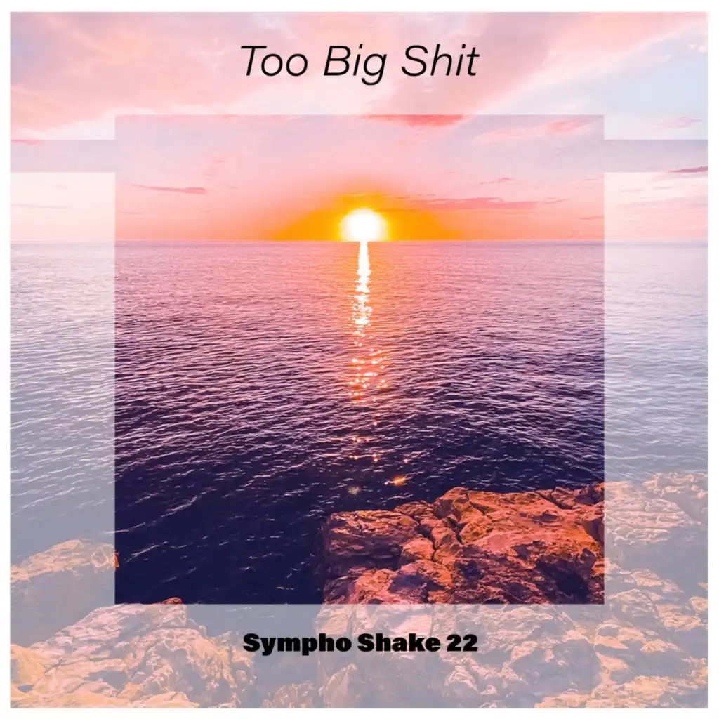 Too Big Shit Sympho Shake 22