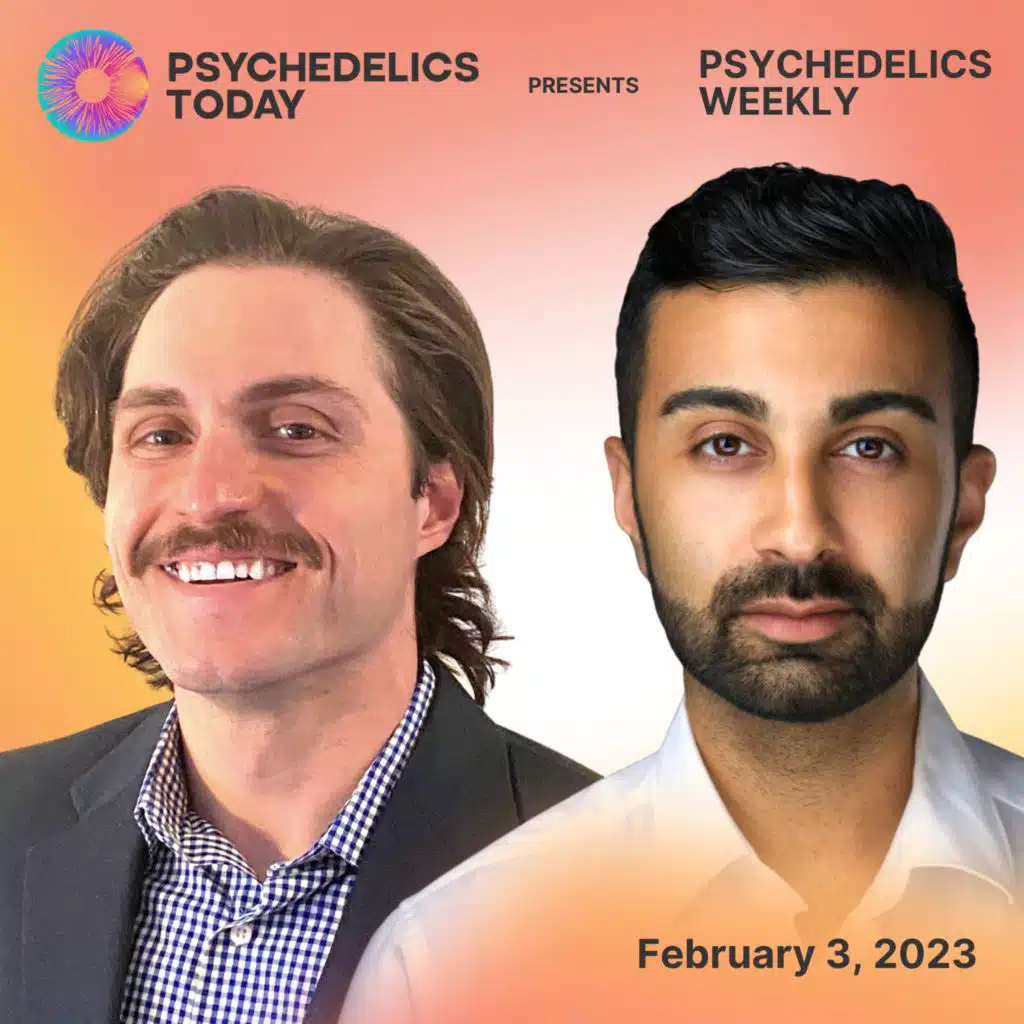 Psychedelics Weekly – Research Explained: Ketamine and the Corticothalamic Network, Psilocybin and the Immune System, & Canalization and Plasticity