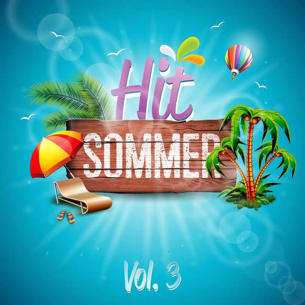 Hit-Sommer, Vol. 3