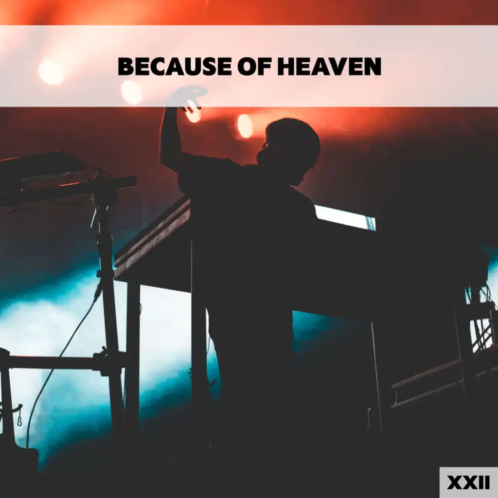 Because Of Heaven XXII