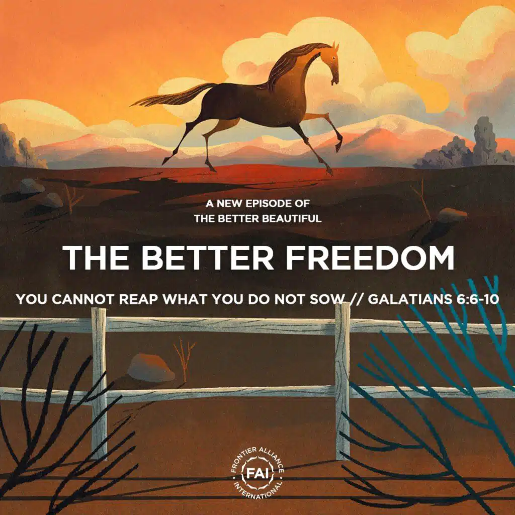 You Cannot Reap What You Do Not Sow (Gal. 6:6-10) // THE BETTER FREEDOM