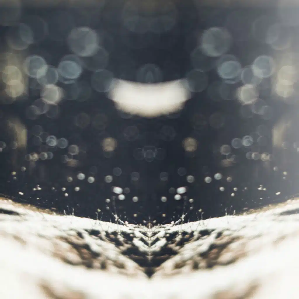 Enceladus (SVLBRD Remix)