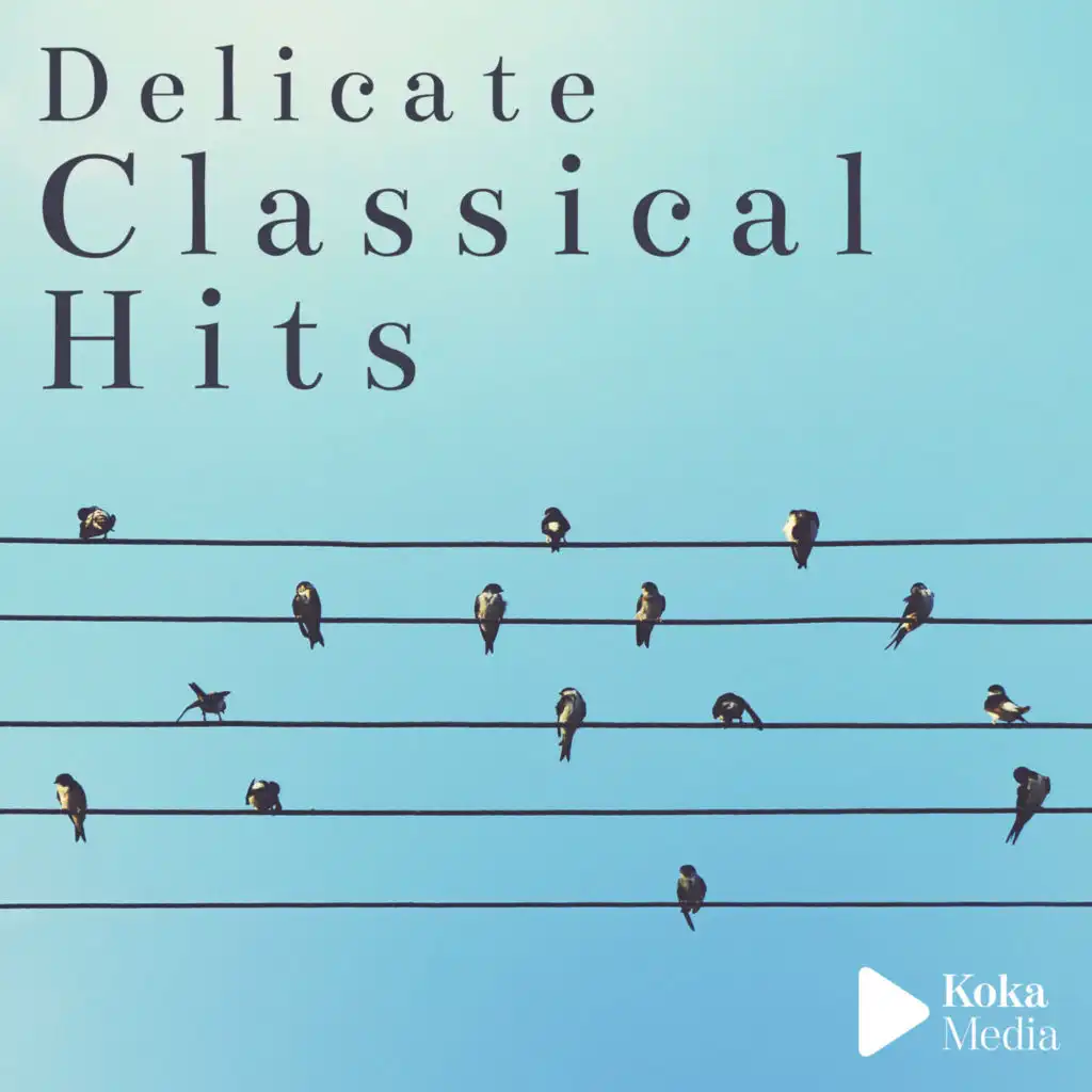 Delicate Classical Hits