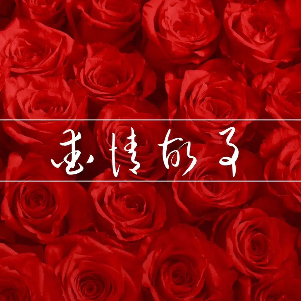 爱情故事： 最浪漫的的圣瓦伦丁节背景音乐，适合情人节浪漫惊喜、爱情表白和求婚的钢琴音乐