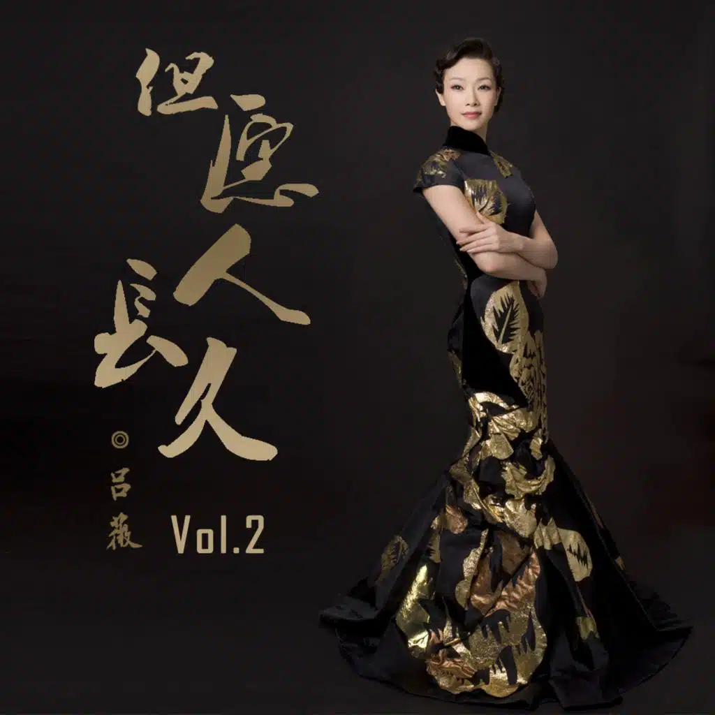 但愿人长久, Vol. 2