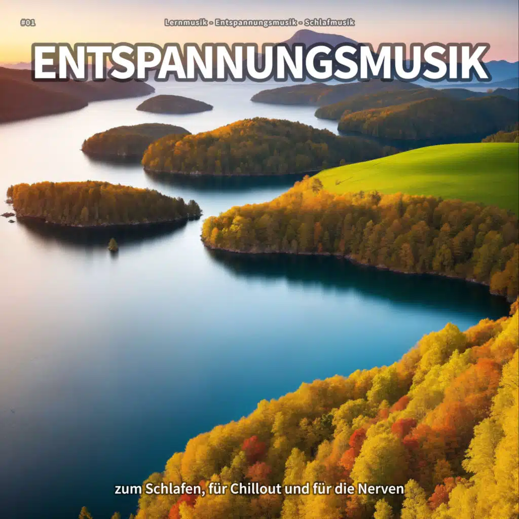 Musik für Wellness