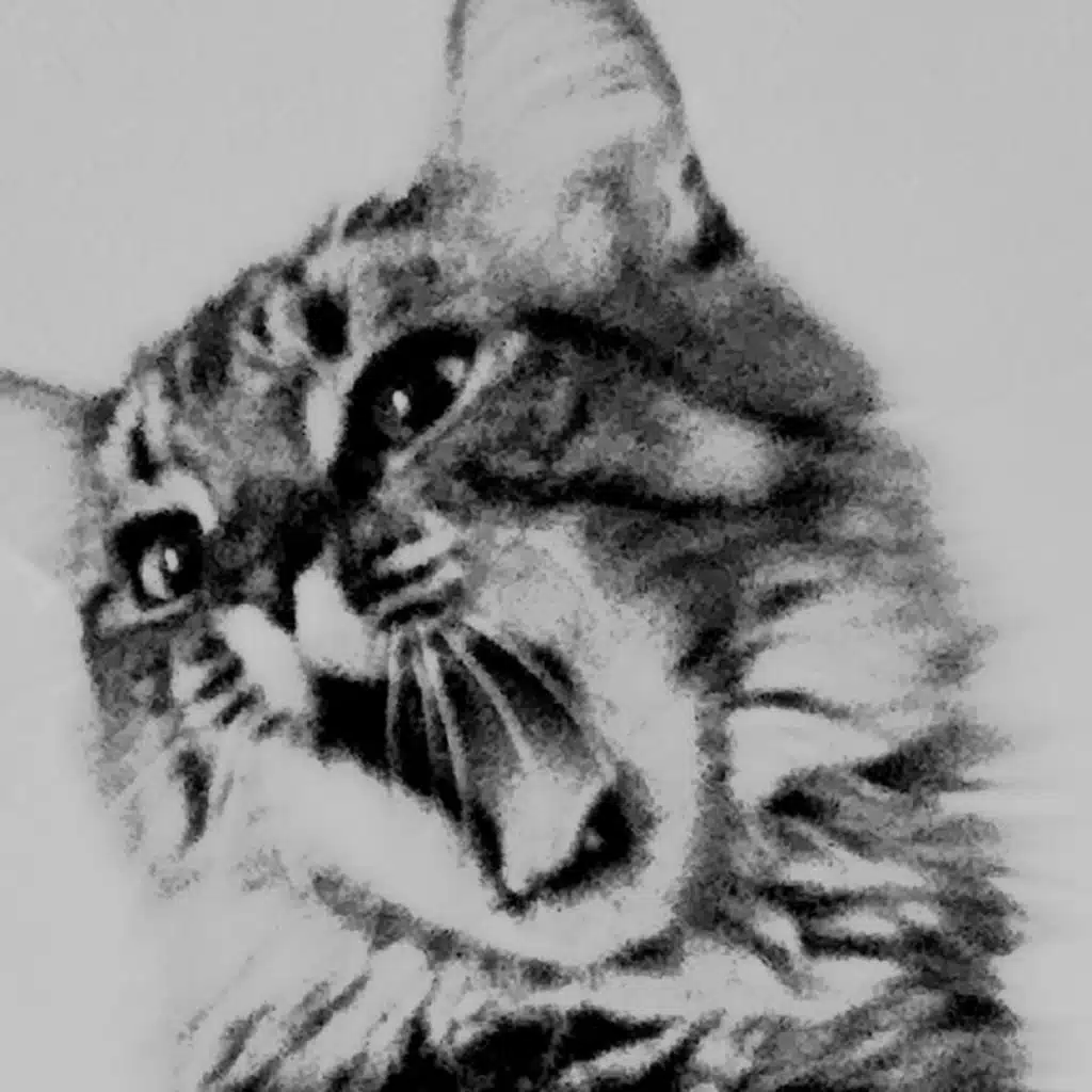 From Heaven Above Us