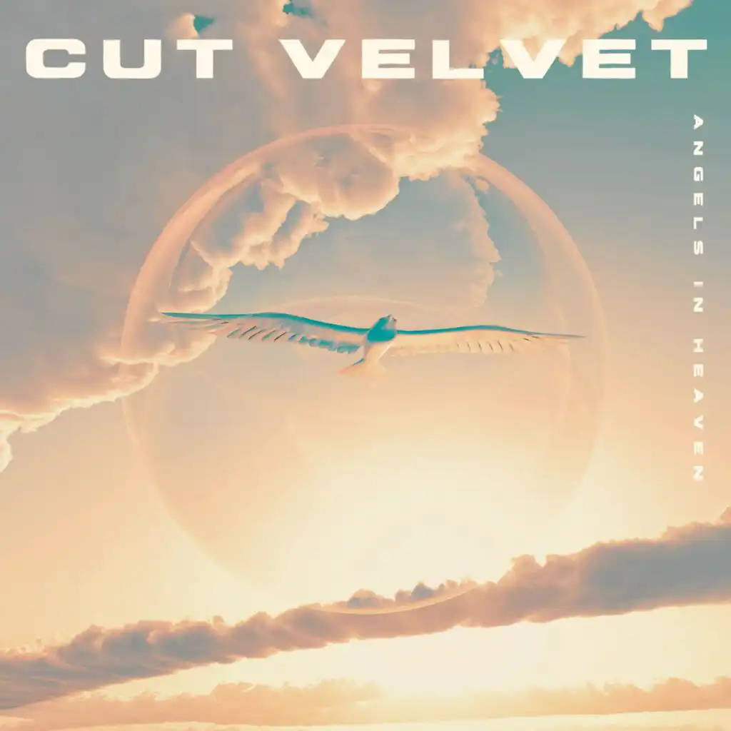 Cut Velvet