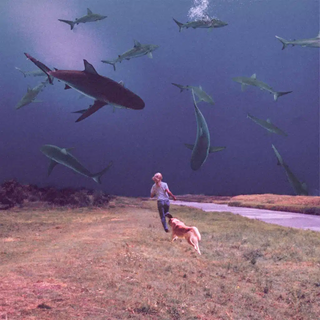 Bully & Soccer Mommy