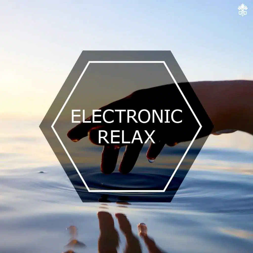 Electronic Relax (feat. Matt Pardus & Axel Bass)