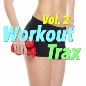 Workout Trax, Vol. 2